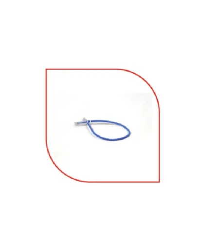 ProLink CAT6 Patch cord, 0.25m,LSZH  Blue - Image 2
